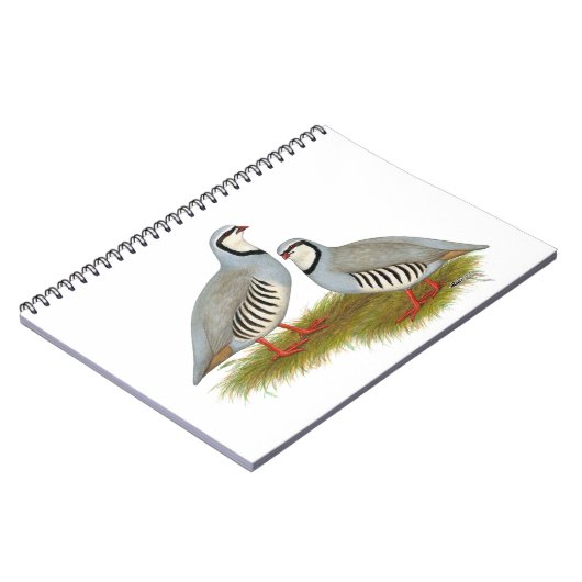 Carnet Paire de perdrix de Chukar (Côté gauche)