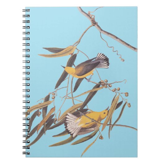 Carnet Paire ornithologique jaune d'Audubon (Devant)