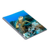 Carnet Paires de tortue (Côté Droit)