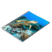 Carnet Paires de tortue (Côté gauche)