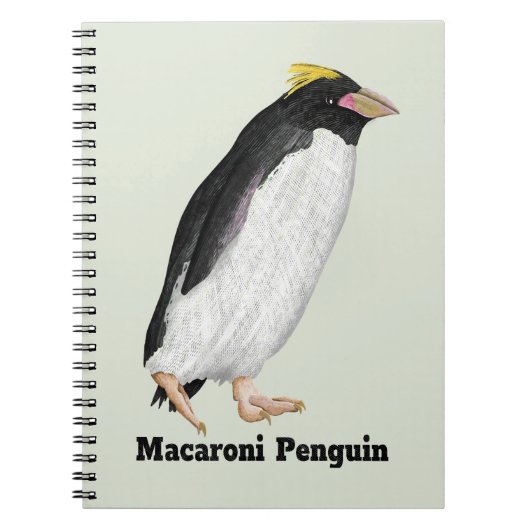 Carnet Palaeeudyptes Pingouin disparu (Devant)