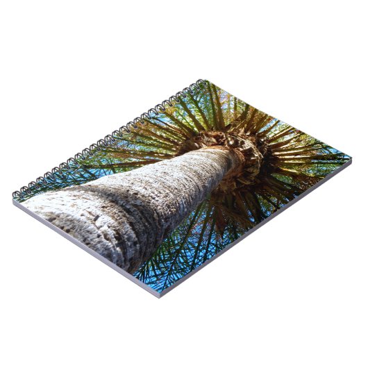 Carnet Palmier (Côté gauche)