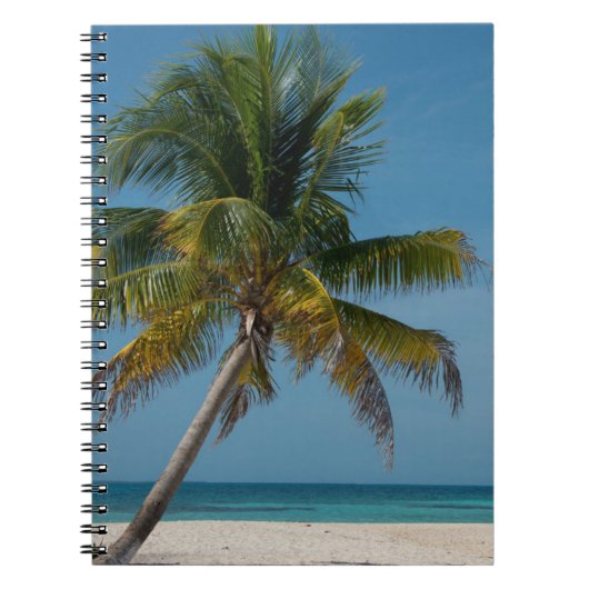 Carnet Palmier et plage de sable blanc 2 (Devant)