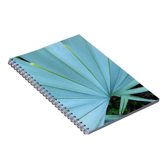 Carnet Palmier gris Bismarck Fermé (Côté Droit)