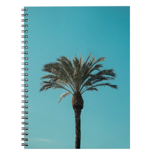 Carnet Palmier vert (Devant)