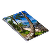 Carnet Palmiers le long de Hideaways Beach (Côté Droit)