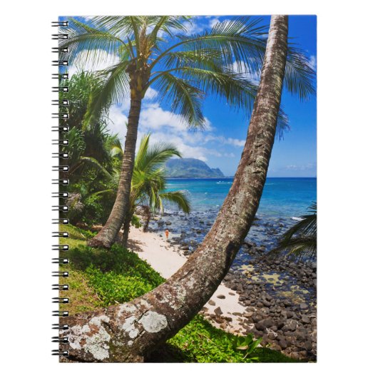 Carnet Palmiers le long de Hideaways Beach (Devant)