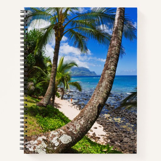 Carnet Palmiers Le Long De La Plage Hideaways (Devant)