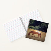 Carnet Palomino en pâture.... (Intérieur)