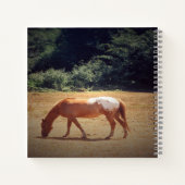 Carnet Palomino en pâture.... (Dos)