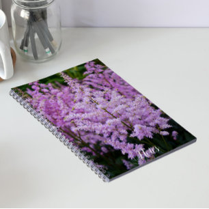 Carnet Panaches Floraux Rose Foncé d'Astilbe Féminins