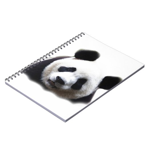 Carnet Panda (Côté gauche)