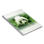 Carnet Panda (Côté Droit)