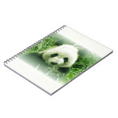 Carnet Panda (Côté gauche)