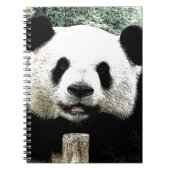 Carnet Panda (Devant)