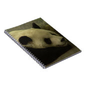 Carnet Panda (Côté Droit)