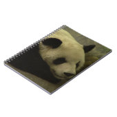 Carnet Panda (Côté gauche)