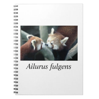 Carnet Panda#1 rouge