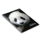 Carnet Panda Bear (Côté Droit)