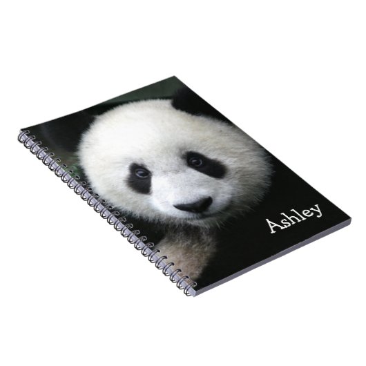 Carnet Panda Bear (Côté Droit)