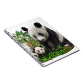 Carnet Panda Bears (Côté Droit)