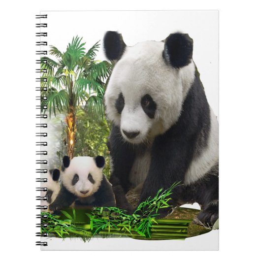 Carnet Panda Bears (Devant)