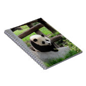 Carnet Panda bébé (Côté Droit)