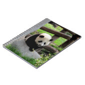 Carnet Panda bébé (Côté gauche)