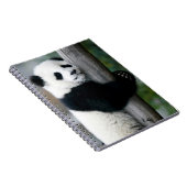 Carnet Panda étreignant le courrier (Côté Droit)