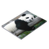 Carnet Panda étreignant le courrier (Côté gauche)
