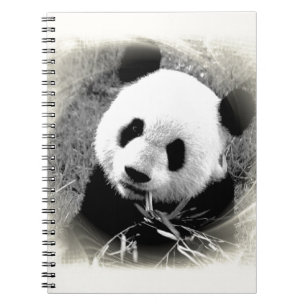 Carnet Panda Eyes