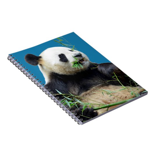 Carnet Panda géant isolé mangeant du bambou (Côté Droit)