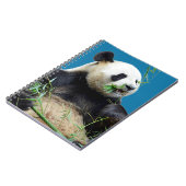 Carnet Panda géant isolé mangeant du bambou (Côté gauche)