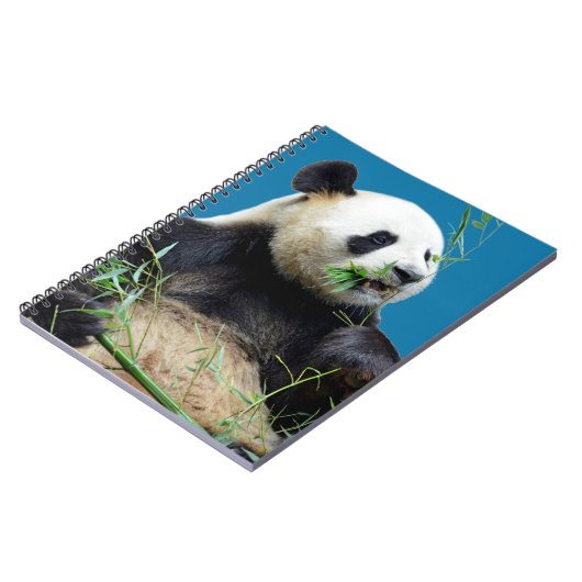 Carnet Panda géant isolé mangeant du bambou (Côté gauche)