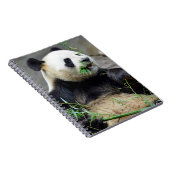 Carnet Panda géant mangeant du bambou (Côté Droit)