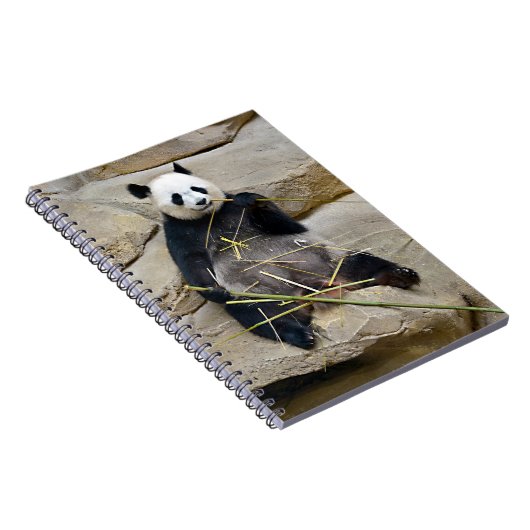 Carnet Panda géant mangeant du bambou (Côté Droit)