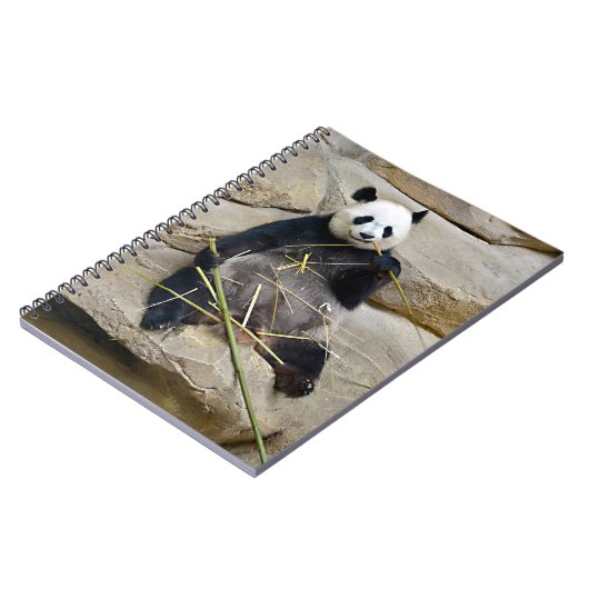Carnet Panda géant mangeant du bambou (Côté gauche)