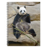 Carnet Panda géant mangeant du bambou (Devant)