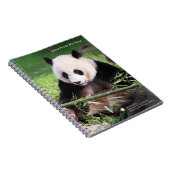 Carnet Panda géant Mei Xiang (Côté Droit)