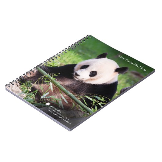 Carnet Panda géant Mei Xiang (Côté gauche)