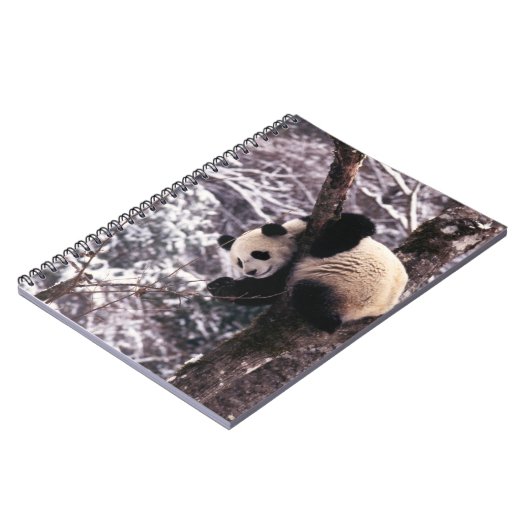 Carnet Panda petit jouant sur un arbre recouvert de neige (Côté gauche)