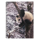 Carnet Panda petit jouant sur un arbre recouvert de neige (Devant)