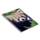 Carnet Panda rouge (Côté Droit)