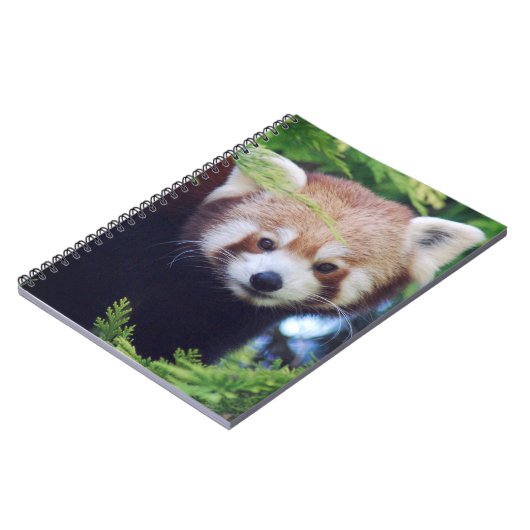 Carnet Panda rouge (Côté gauche)