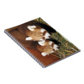 Carnet Panda rouge (Côté Droit)