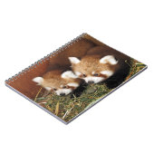 Carnet Panda rouge (Côté gauche)