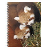 Carnet Panda rouge (Devant)