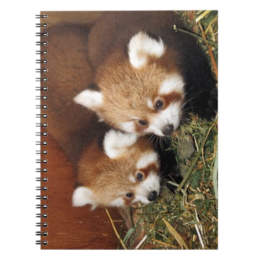 Carnet Panda rouge (Devant)
