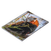 Carnet Panda rouge (Côté gauche)