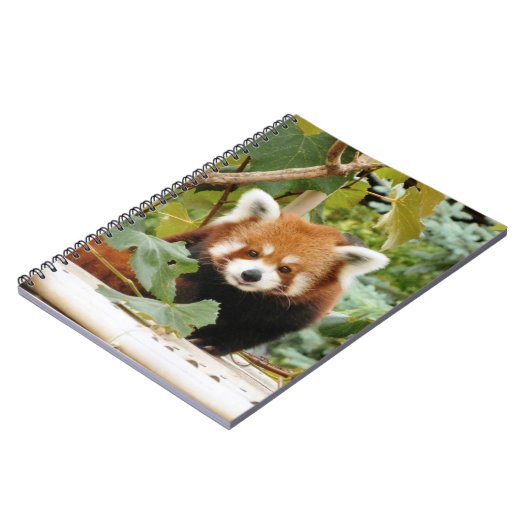Carnet Panda rouge (Côté gauche)